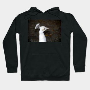 White Bird Hoodie